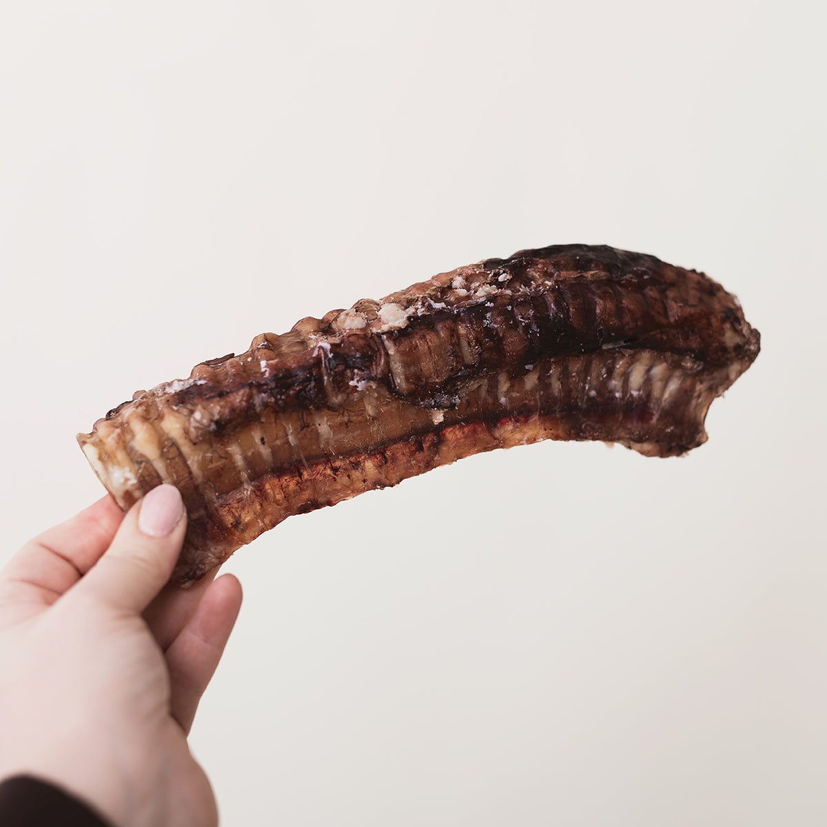Kauwpakketten - Delicatessen