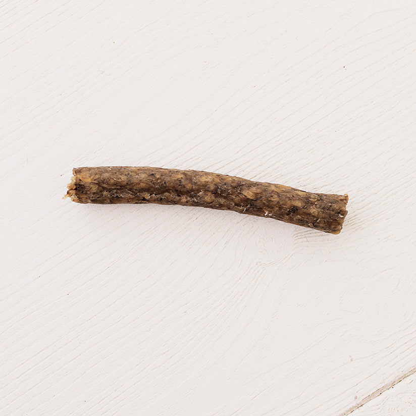 Kauwpakketten - Senior